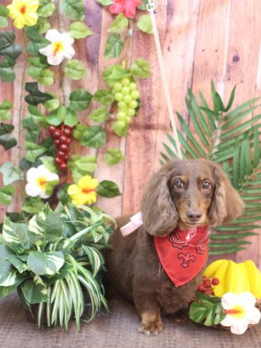 20230823ジョナくん